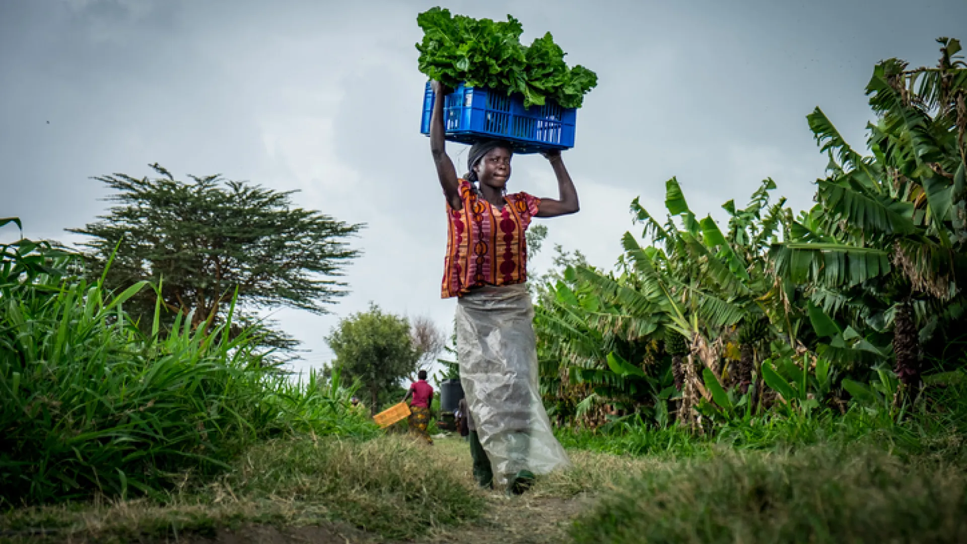 Smallholder Farms