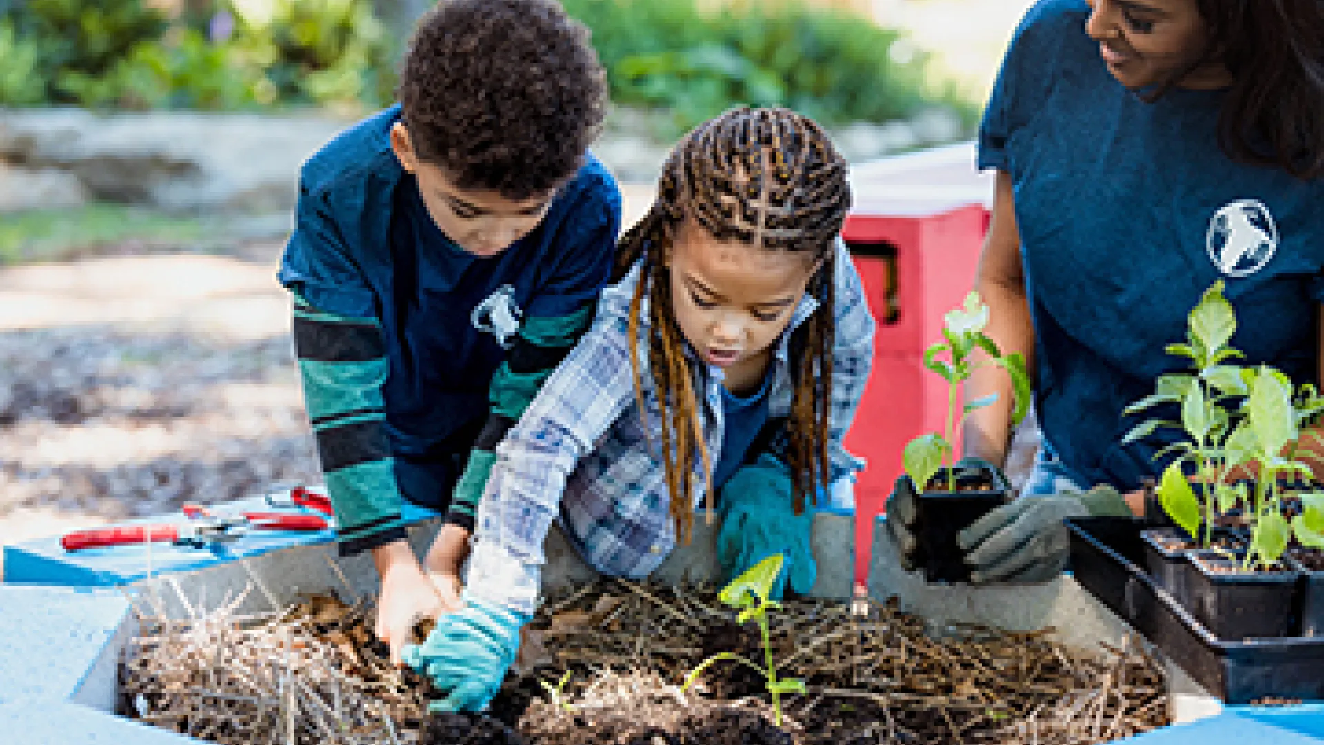 Children planting a community garden
