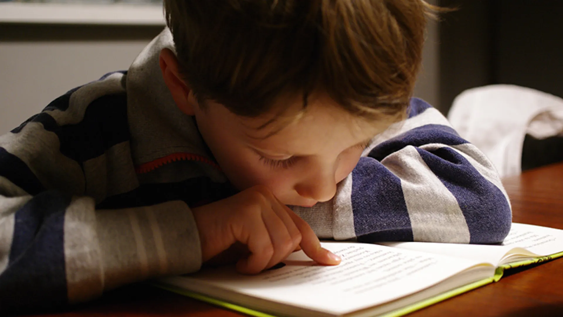 Young boy reading closeup