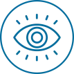 Icon of an eye