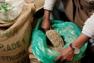 Grain in Ethiopia