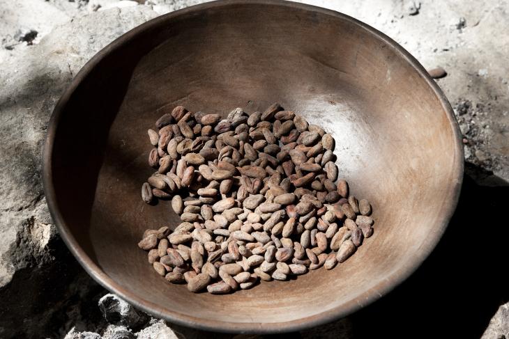 Fermented cocoa beans ready for old-fashion roasting