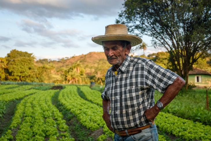 Portrait of an old man on an organic lettuce plantation