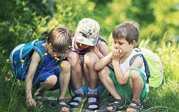 Image of young children looking at bugs in a field