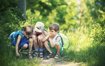 Children in the woods looking at a bug