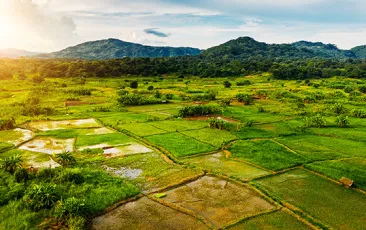 Rural Malawi