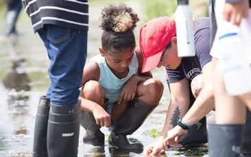 Children playing on Thompson Island