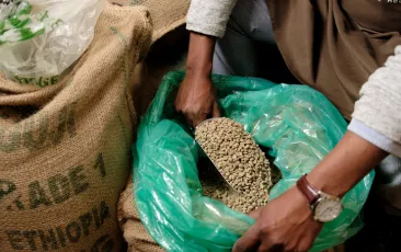Ethiopia farmer
