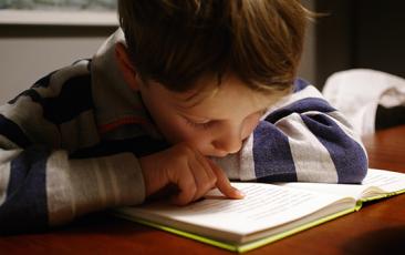 Young boy reading closeup