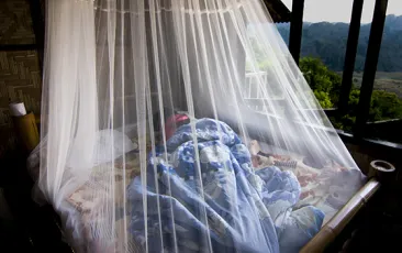 Person sleeping under a mosquito net