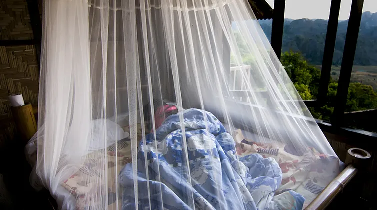 Person sleeping under a mosquito net