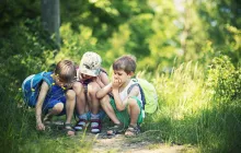 Children in the woods looking at a bug