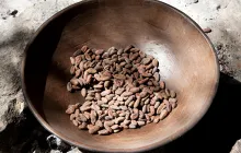 Fermented cocoa beans ready for old-fashion roasting