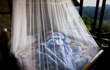 Person sleeping under a mosquito net