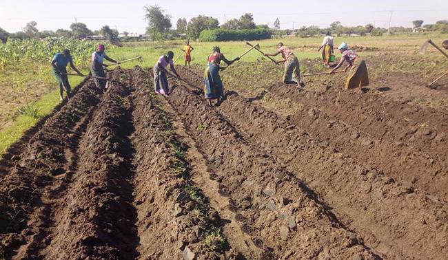 Image of women working in the fields in Tanzania
